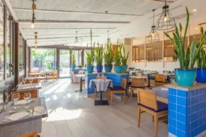 imagenes-corallium-beach-45